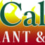 Casa Caliente Restaurant and Cantina
